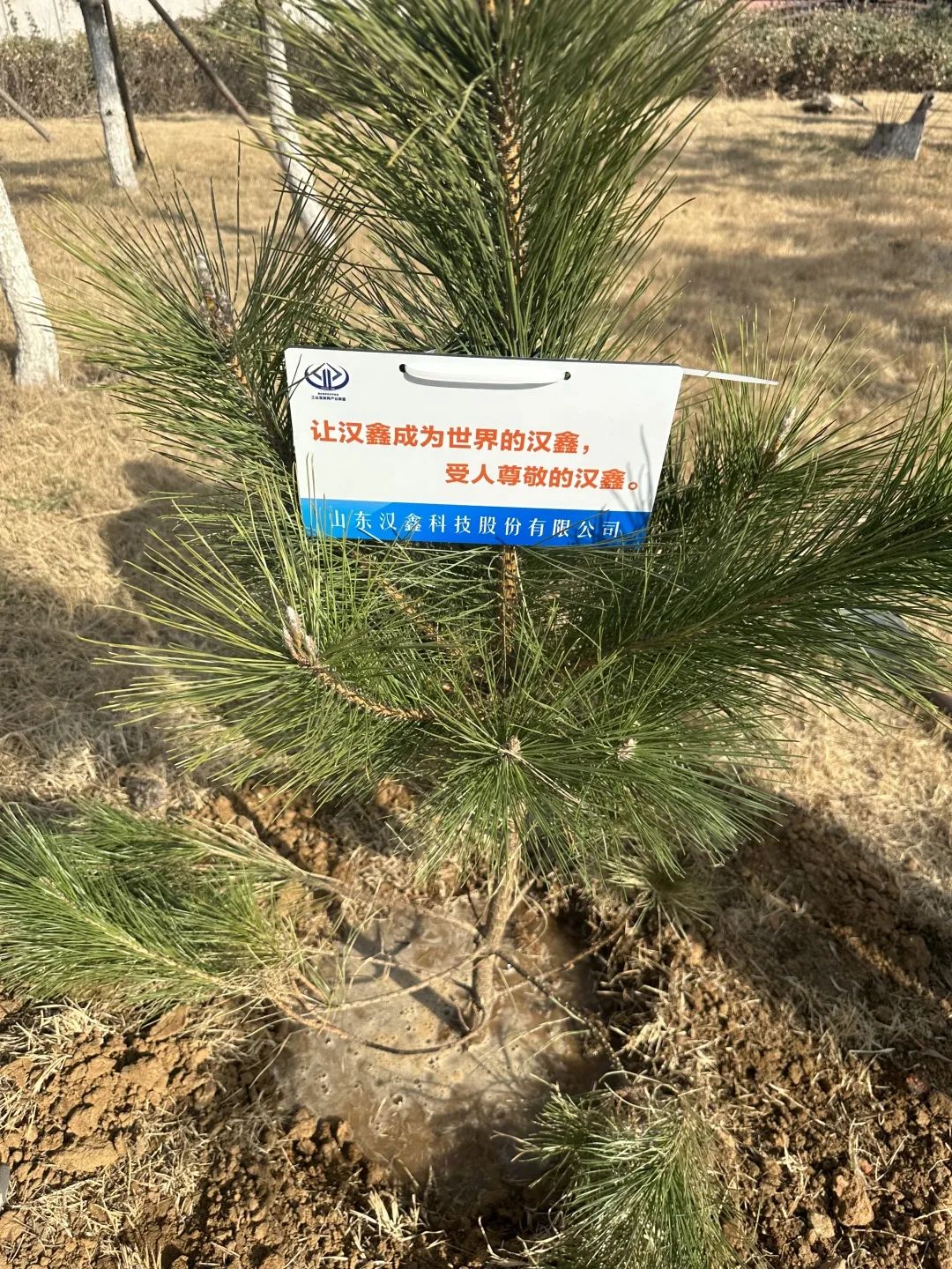 1679466639916555.jpg z4.jpg